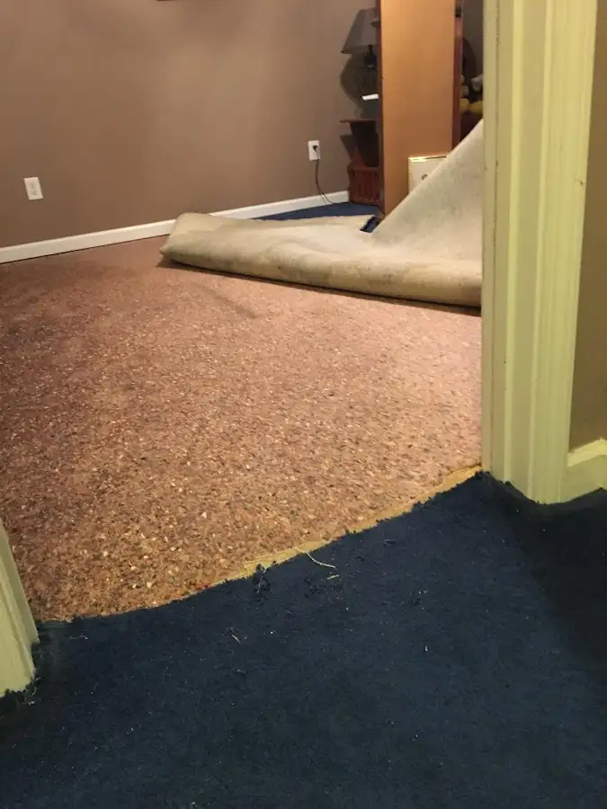 Carpet pad removal revealing water damage during Water Mitigation Services in Livingston