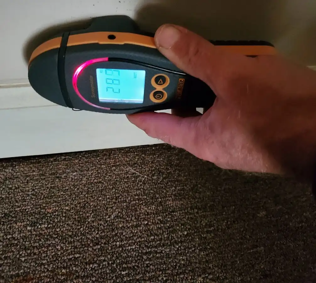 Moisture detection at baseboard during Storm Damage Restoration in Livingston